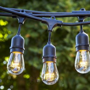 Đèn dây trang trí ngoài trời, đám cưới ngoài trời, đèn dây trang trí cây
