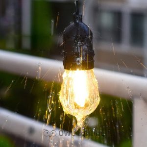 Đèn dây trang trí ngoài trời, đám cưới ngoài trời, đèn dây trang trí cây